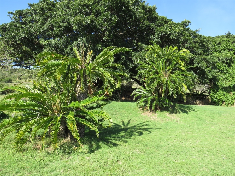 3 Bedroom Property for Sale in Bathurst Eastern Cape